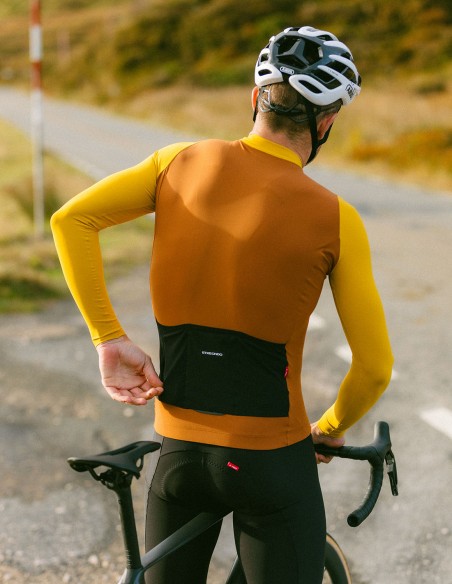 MAILLOT M/L ALDE COLOR EDITION