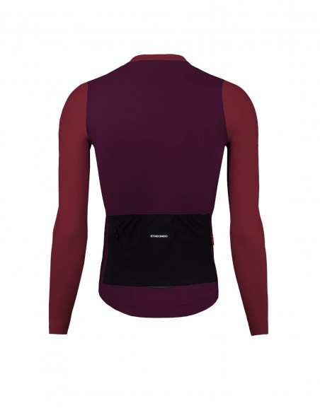 MAILLOT M/L ALDE COLOR EDITION