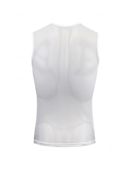 MESH