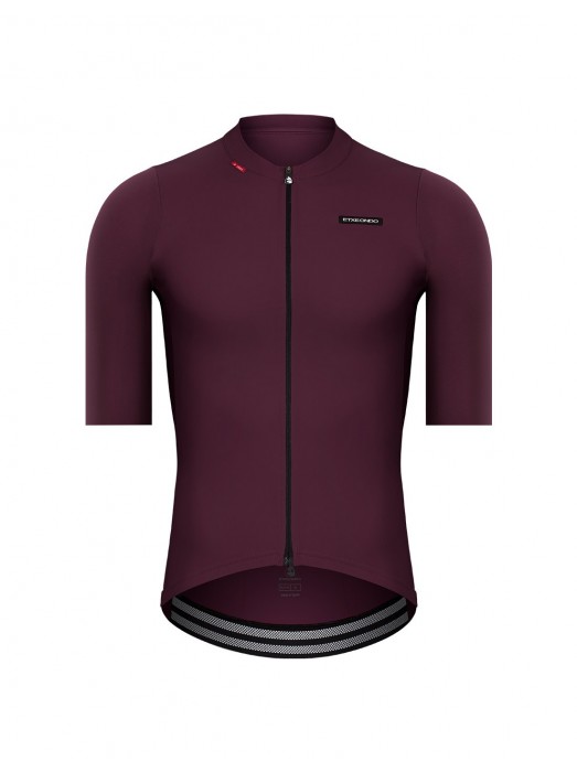 ALDE JERSEY