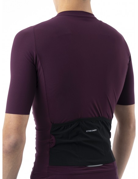 ALDE JERSEY